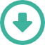 download-icon